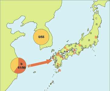 中国から日本へ稲作が直接伝来した裏付けとなる「RM1-b 遺伝子の分布と伝播」。日本の各所に点在するRM1-b遺伝子。中国では90品種を調べた結果、61品種に、RM1-b遺伝子を持つ稲が見付かったが、朝鮮半島では、55品種調べてもRM1-b遺伝子を持つ稲は見付からなかった。なお現在の日本に存在する稲の遺伝子は、RM1-a、RM1-b、RM1-cの3種類