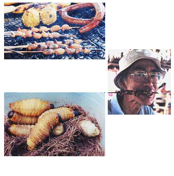 今年3月、調査のために訪れたペルーにてさまざまな昆虫食に出会う。ヤシ類などに寄生するヤシオサゾウムシの幼虫。体長は5cm程度。