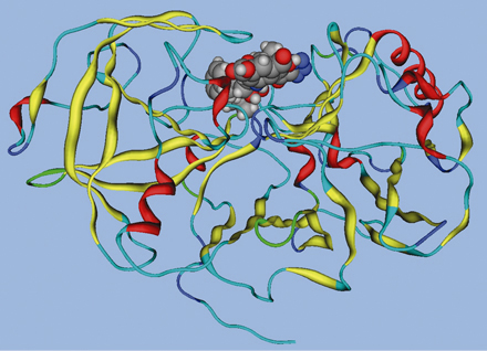 「KMI−429」のコンピュータ画像。「KMI−429」は、アルツハイマー病発症に深く関与する酵素「βセクレターゼ」に結合し、その働きを阻害する化合物。副作用など起きない事が動物実験で確認されている。<資料提供：木曽良明氏>