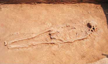 発見された身長180cmの完全体人骨「チカ・ルス」