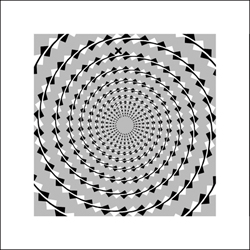 一目見た瞬間、まずは黒い斑点状のエレメントが、らせん状に配置されているように見えてしまう。ところが、エレメントはらせん的には配置されておらず、本当は同心円状に配置されている 